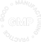GMP-light